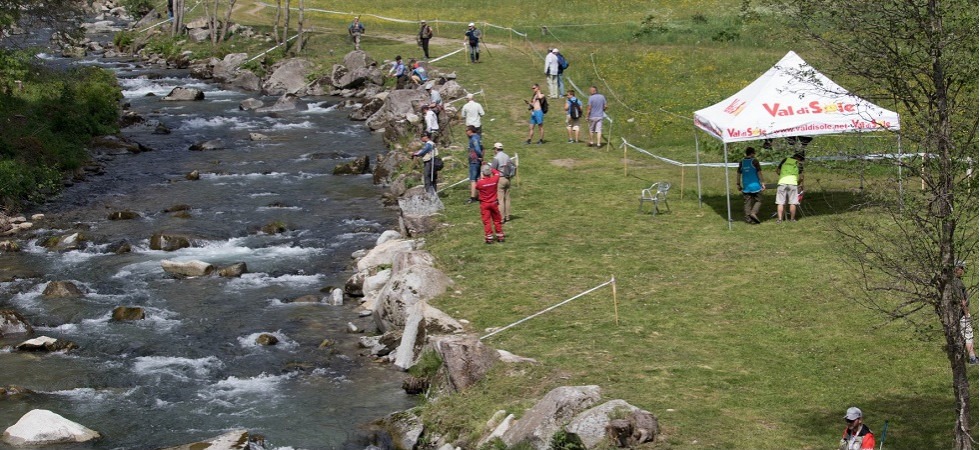 Mondiali pesca 2017 val di Sole - Francesca Bridi Mondiali pesca 2017 val di Sole - Francesca Bridi